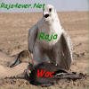 chftouuuuuuuuuhaaaaaaaaaaaaaaaaaaa  o  la  la